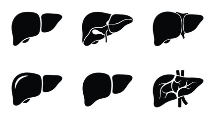 Human Liver Anatomy Icons, Medical Health Symbols, Vector Silhouette Set for Healthcare and Science © Saif
