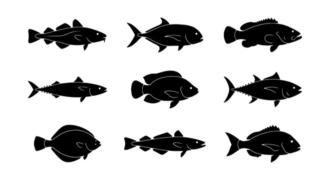 Diverse Fish Silhouettes Collection, Seafood Icons, Aquatic Life Vector Set