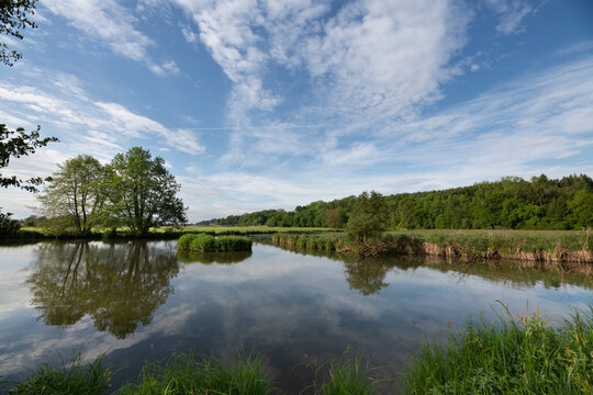A summer landscape. The blue sky with clouds is reflected in a lake. On the shore, there is a meadow and green trees.