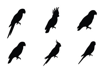 Parrot Silhouettes Collection, Tropical Bird Icons, Exotic Avian Vector Graphics, Wildlife Vector Art © Farzana