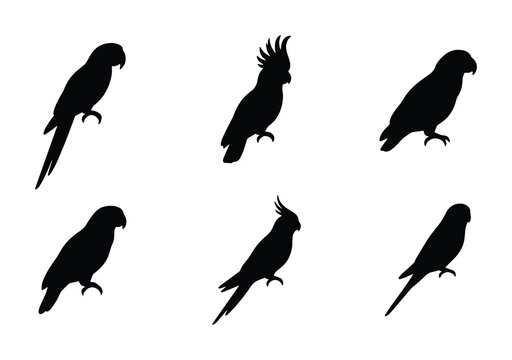 Parrot Silhouettes Collection, Tropical Bird Icons, Exotic Avian Vector Graphics, Wildlife Vector Art