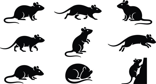 Hantavirus Collection of black mouse silhouettes in various poses and actions on a white background rodent animal