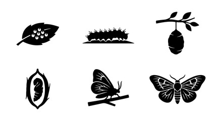 Butterfly Life Cycle Icons, Insect Metamorphosis Vector Set, Nature Transformation Graphics © Kamrul