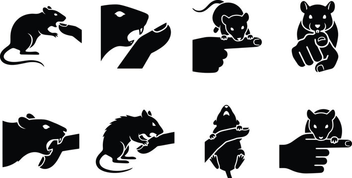 Hantavirus Silhouettes of rats interacting with human fingers mouse rodent