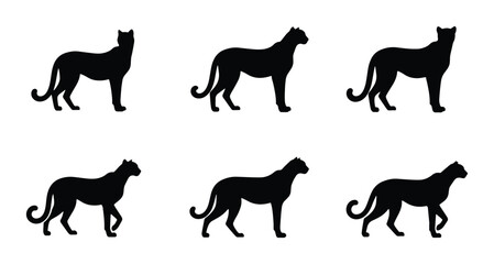 Black Panther Silhouettes, Big Cat Poses, Elegant Feline Vector Graphics, Wildlife Animal Set © Roksana