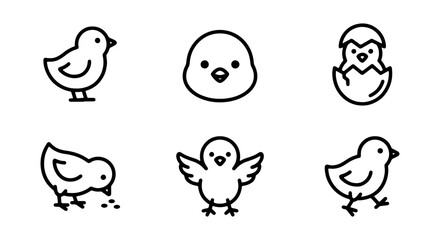 Cute Chick Icons, Baby Bird Vector Set, Simple Easter Poultry Graphics, Spring Animal Illustrations © AbdullahAl