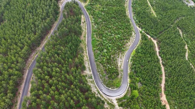 An aesthetic and fluid drone video, shot from a high angle, of vehicles navigating sharp turns on a mountainside covered in green pine forests.