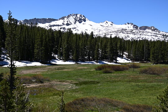 beautiful forest, mountains and rivers off highway 88