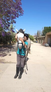 A young boy wearing a black riding helmet and a teal polo shirt stands beside a dapple-gray horse at an equestrian facility, gently stroking the horse's nose. Purple jacaranda tree blossoms frame 