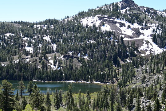 beautiful forest, mountains and rivers off highway 88