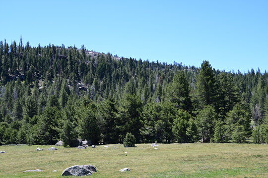 beautiful forest, mountains and rivers off highway 88