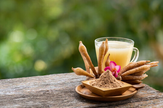 Fingerroot rhizomes ,powder and fingerroot juice on natual background.
