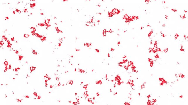 Abstract background with red organic particle cells or ink blots mutating and shifting on a white screen, perfect for biological themes, minimalist loops, and creative transitions. 4k animation