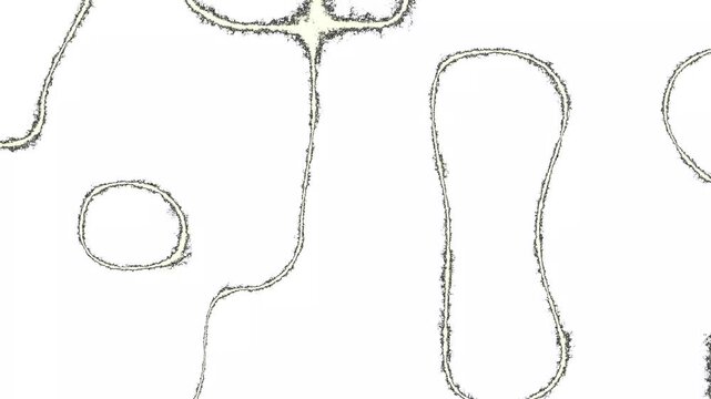 Minimalist motion background with organic black liquid outline curves forming abstract shapes on a white surface, ideal for high-end fashion and creative art layouts animation. 4k