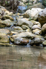 Fototapeta premium Rocky stream with flowing water in nature