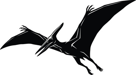 Pterodactyl Silhouette: Striking Black Flying Pteranodon Silhouette Dinosaur with Spread Wings © MS Studio1