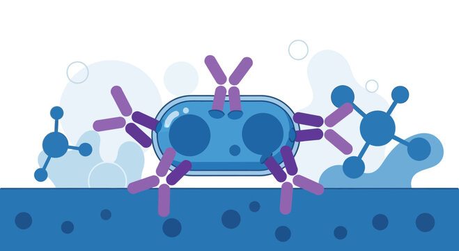 Antibody binding to a pathogen in a scientific illustration
