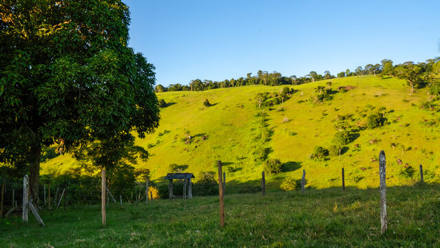Paisagem rural com colina verde em Laje - BA