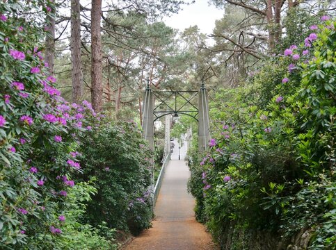 H&auml;ngebr&uuml;cke - Alum Chine Suspension Bridge in Bournemouth