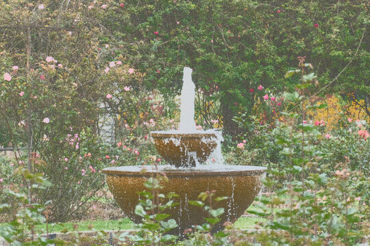 fountain in the park fern leaf background  botanic garden color vintage poster half tone old printing texture green leaves in the garden