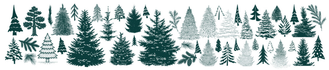 Obraz premium A large set of Christmas trees and spruce branches on white background. Hand drawn. Not AI, vector illustration.