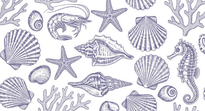 marine life seamless pattern featuring detailed hand drawn seashells and ocean creatures for nautical backgrounds.