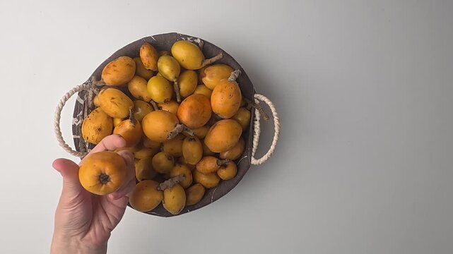 Hand holding loquats. Yellow fruit hand. medlar in hand, close-up. High quality photo
