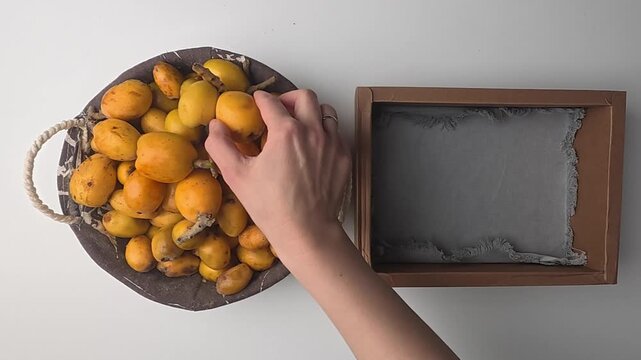 Hand holding loquats. Yellow fruit hand. medlar in hand, close-up. High quality photo