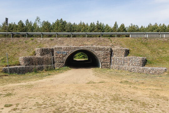 Wildlife underpass crossing under the S8 expressway near Wyszkow, Poland