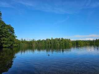 Obraz premium lake in the forest