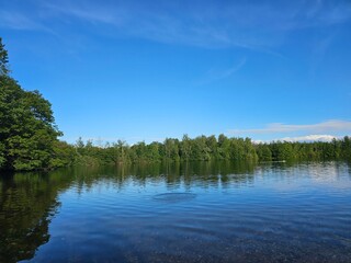 Obraz premium lake in the forest