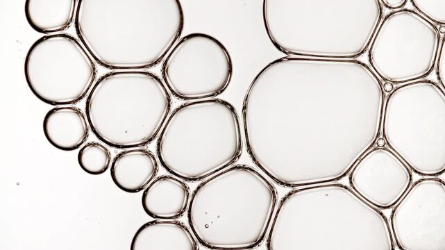 Cells Under a Microscope are Connected Into a Common Transparent Bubble Cluster With Molecule. Macro Shot of Molecule Science and Medicine. DNA. Medical Drug Manufacturing. High quality 4k footage