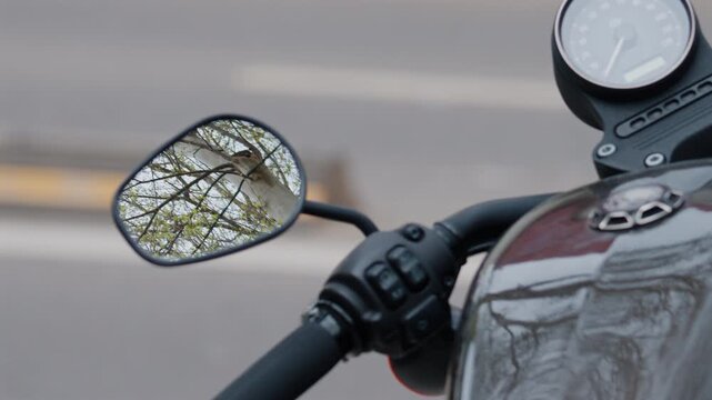 Close up view of a motorcycle mirror, handlebar controls, speedometer, and reflective fuel tank