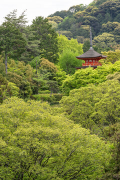 Red three-storied pagoda (Koyasu-no-to) surrounded by a tree forest at Kiyomizu-dera Temple in Kyoto, Japan