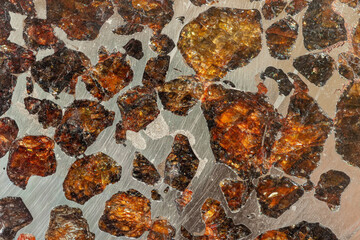 Close-up of polished pallasite meteorite slice, translucent amber olivine crystals embedded in metallic nickel iron matrix. Natural mineral texture for geology, science, space themed design © svetlanais