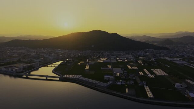 「布引大根の産地・布引の空撮・早朝」和歌山県和歌山市 Early Morning Aerial View of the Nunobiki Daikon Farmland in Wakayama, Japan
