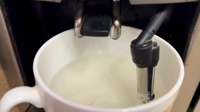 Steam wand rinsing white coffee mug during descaling cycle, hot water and foam flow from stainless nozzle into mug, foamy bubbles