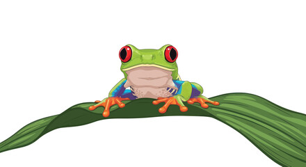 Obraz premium Vibrant Red-Eyed Tree Frog Perched on Green Leaf, Isolated White Background