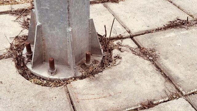 Rusted sign pole base on concrete, closeup of anchor plate bolted to sidewalk with corroded bolts, dried weeds and moss