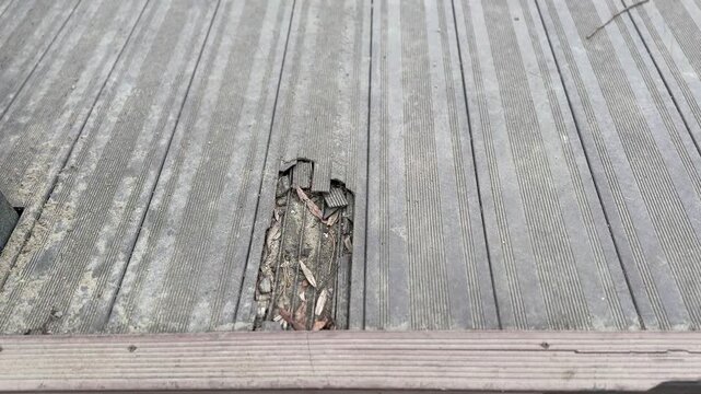 Close up broken wooden dock decking, weathered boards with splintered plank and exposed nail heads, salt stains and algae growth