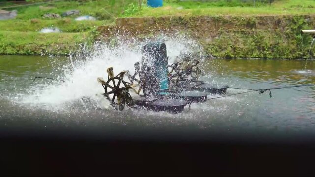 Rotating Water Aerator System in Freshwater Fish Farming Pond