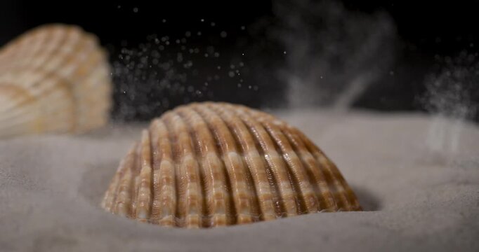  Super Slow Motion Sand Explosion Around Shell