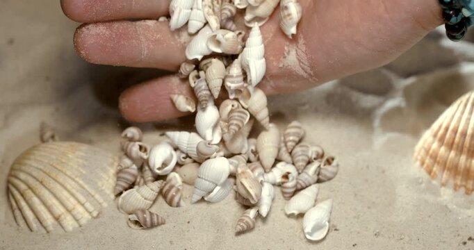 Super Slow Motion Slowmotion Beach Shell Scattering. Quiet Seaside Scene
