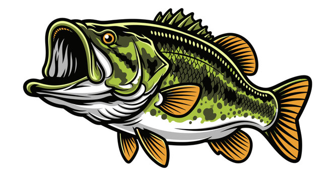 largemouth bass fish leaping with its mouth open a dynamic illustration perfect for fishing wildlife and sport angler designs.