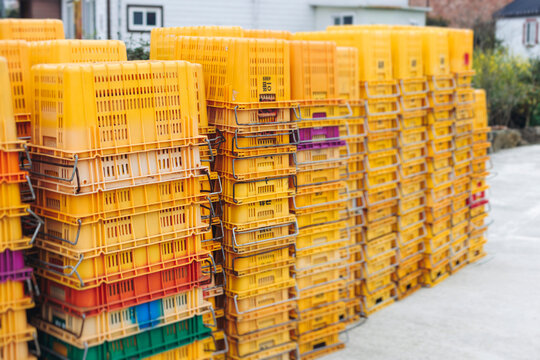 Jeju orange and hallabong for sale on farm market shop, Jeju Island, South Korea, tangerine and gamgyul fruits packed in gift orange boxes and crates, ripe citrus fruits export, Jeju-do agriculture