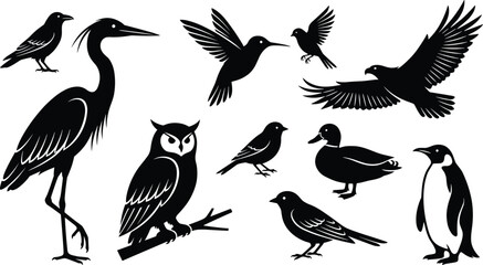 Fototapeta premium Birds black silhouettes icons set vector illustrations of wild fauna including heron owl eagle hummingbird penguin and duck isolated on white background