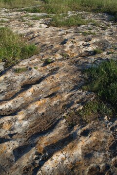 Close-up of ancient layered and folded limestone rock face near Matera, Basilicata, Italy, showing geological stratification and weathering.