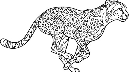 Cheetah Running Outline Vector Illustration - Coloring Page © sobah