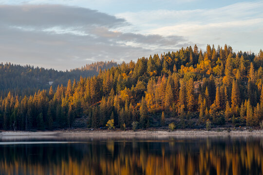 Sunlit pine forest reflecting on a calm alpine lake during golden hour