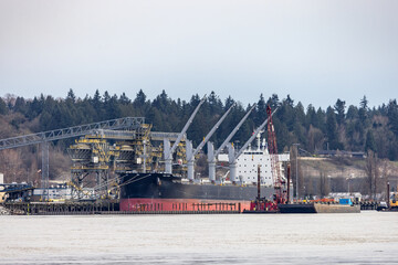 Fototapeta premium Bulk Cargo Ship Docked at Industrial Port on Fraser River in Vancouver, BC, Canada
